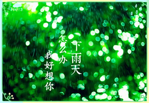 林晓谕周毅川苏希希小说笔趣阁最新章节 未婚夫为等白月光，大闹机场免费阅读小说