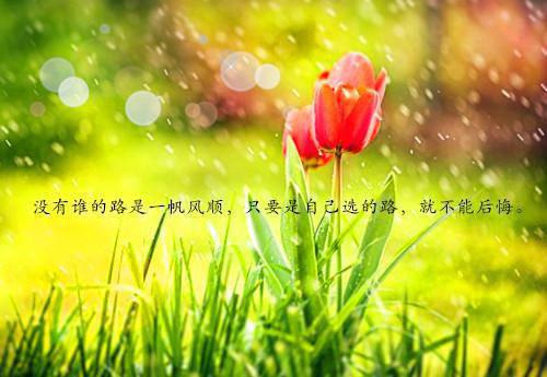 李凝霜付娇免费阅读最新章节 喝了一口水，美容院让我办理天价会员卡小说免费阅读全文最新章节