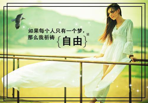 沈钦沈铭程晓芸林宇文小说在线阅读 尸语者沈钦沈铭程晓芸林宇文全文