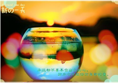 沈怜姝秦屿小说叫什么名字 沈怜姝秦屿免费阅读小说