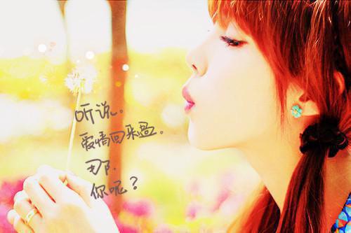 柯霓景斯存结局 柯霓景斯存小说柯霓景斯存免费阅读