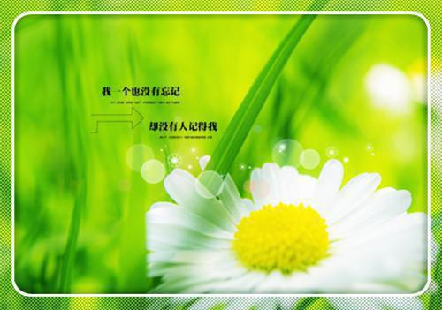 我孙青青的最新章节更新时间 古代弃女穿成东北独生女后小说全文免费