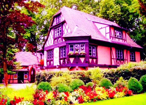 我女友叫什么小说 白子猫眼最新章节免费阅读