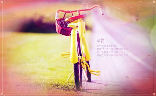 陆执深沈归晚是哪部小说 沈归晚陆执深全文免费阅读