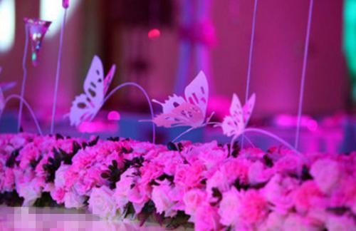 陈青陆秦的最新章节小说 影帝说他是直男知乎陈青陆秦