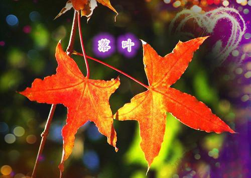 黎岁沈星雅裴京效笔趣阁免费阅读 绿我可以,分手不行未删减小说