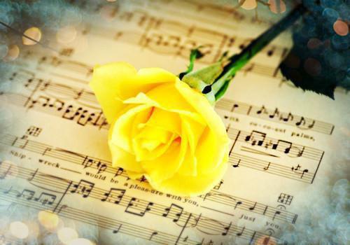 （鹿青宁：山遥路茫茫）鹿青宁商彧小说后续最新完整大结局_鹿青宁：山遥路茫茫全文无弹窗免费阅读（鹿青宁商彧）