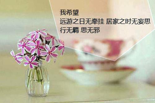 陶枝欧漠大结局后续 穿成虐文女主我靠发疯成了万人迷小说最新章节列表