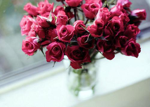 池苒池念安周祈聿周君莫笔趣阁免费阅读 前男友疯狂吃醋，却不知我早已有主小说正版阅读