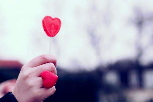 完结十年爱意随风落鹿清梨沈妄谨全章节阅读