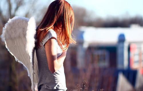 我周显念夏是哪部小说 我的夫君爱上穿越女全文免费阅读