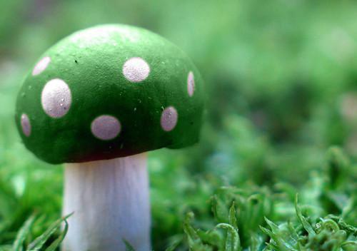 我真千金假千金星星最新章节更新状态 在真假千金文里当端水大师全文最新更新内容