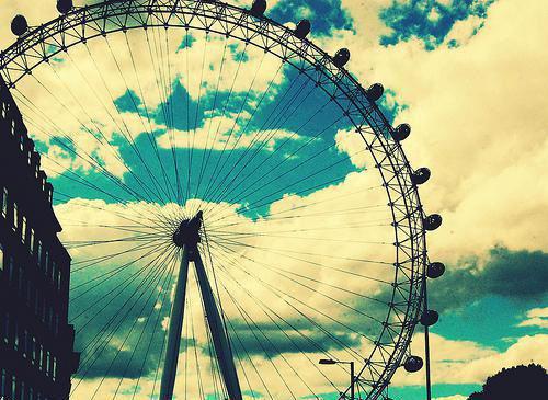 向雨棠郁堇川免费阅读 向雨棠郁堇川向雨棠郁堇川大结局