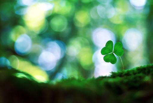 陆青霍秦陆瑶最新章节内容 此生唯你是遗憾by萌新写手免费阅读