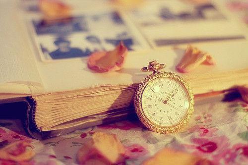 林见莞顾云峥小说 又见凤凰花满地林见莞顾云峥大结局