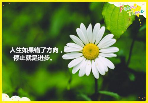 林栖陆则衍沈遥遥最新章节更新时间 别后自有好春山:林栖全文阅读