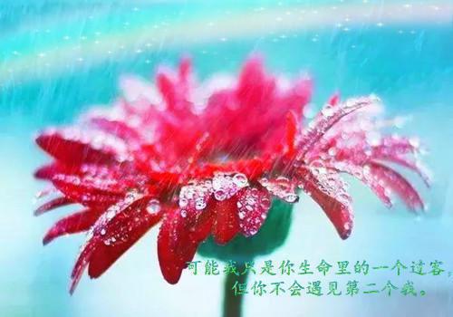 我苏蜜儿霍明笔趣阁 我拒绝为千万女网红配姻缘被群殴，她跪求我救命全文阅读