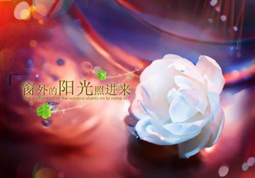 植物人丈夫的报复全文阅读(林薇薇周凛程默)最新章节_植物人丈夫的报复全文阅读