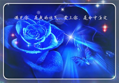 虞霭虞明珠的最新章节小说 我妈被指认假千金后全家慌了笔趣阁最新章节列表