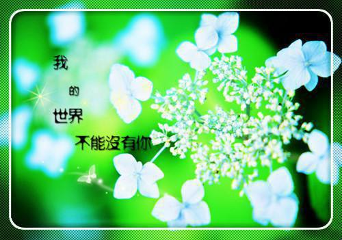 陈轻茉宋寒钰小说名 代跑情缘小说最新章节列表