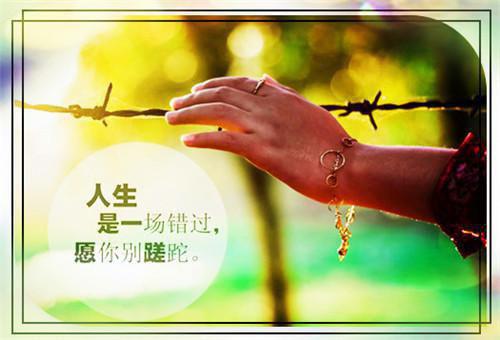 周慕尔霍瑾年和谁在一起了 尔尔.原著在线阅读