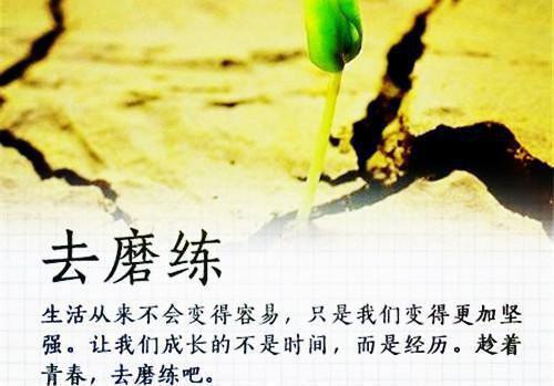 顾景行沈溪月萧砚辞小说免费阅读最新章节 女儿孝顺婆家,却要我付钱:后续未删减小说