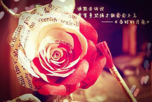 沈沐柒傅砚寒小说叫什么名字 北风秋霜覆往忆结局