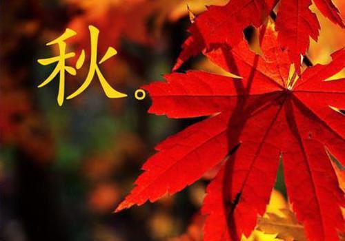 最新章节狼与豺（01傅川）_狼与豺01傅川小说免费阅读