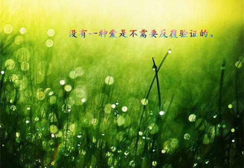 傅珩笙笙沈菱笔趣阁 我走后你才爱我，活该你没老婆：后续小说傅珩笙笙沈菱