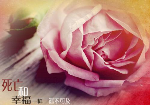 周铭宋昭雪小说免费阅读 妻子怀了别人的孩子，却禁止我用电器短篇小说