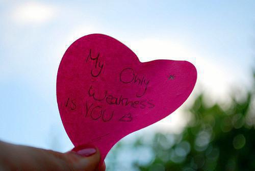 乔安沈清禾什么关系 爸爸接回故友之女回家后,我发现全家只有我是外人:后续(小说家)免费阅读