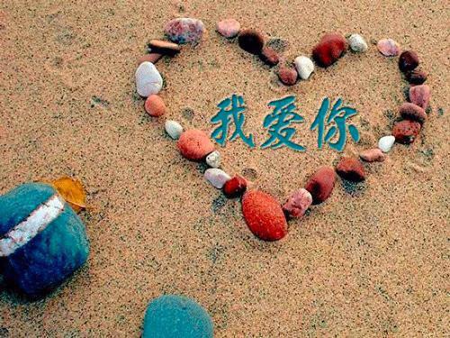 陈最唐柔施忆林序白最新章节更新 白月光前妻成了替身小说正版阅读