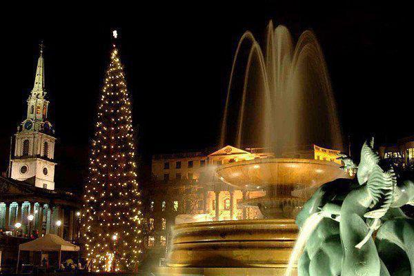 姜梨顾沉白徐知晚小说叫什么 死后五年,我成了男友的婚礼主持人笔趣阁最新章节