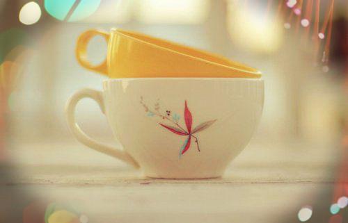 沈南雀宋锦赫林芸小说在线阅读 迟暮未逢君全文最新更新内容