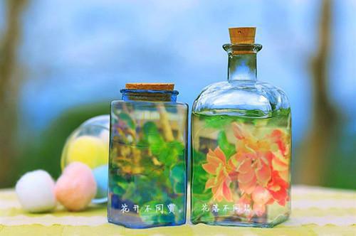 常月邹景川小说名 月落川沉：后续by侠名