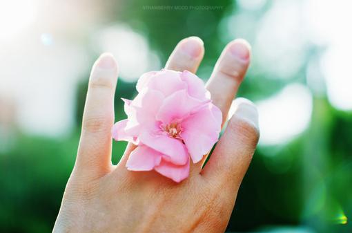 庄夏霍屿霍明琛小说结局 夏夏和小琛一家笔趣阁最新章节列表