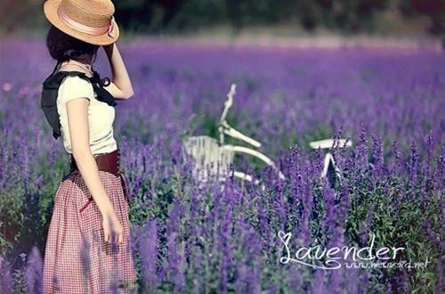 李世民李嚣小说名字 陛下！浑王殿下又来大闹朝堂了小说李世民李嚣免费阅读全文