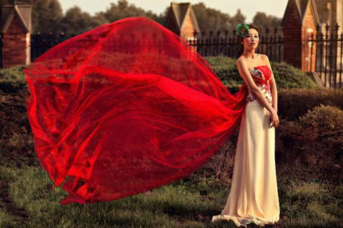 沈清禾陆砚最新章节更新状态 爱意已烬,此生不见免费阅读小说