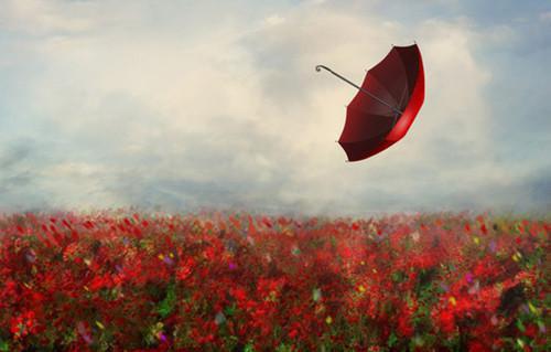 我别余恨我断情根小说在线阅读小说全集在线_我别余恨我断情根起点章节+后续(姜姒宋淮序孟浅浅)