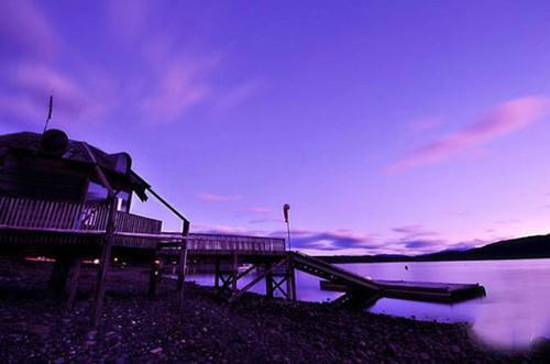 苏晚沈逾秦岚小说结局 拒租后新店爆火完整版