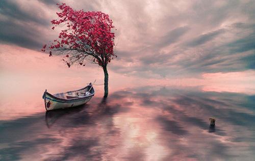 许知然贺叙安孟舒窈小说免费阅读 踏遍人间风雪最新章节免费阅读