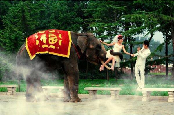 穆云熙萧景衍宋婉茹最新章节更新状态 我的男主需要养猪式喂养by路人甲免费阅读