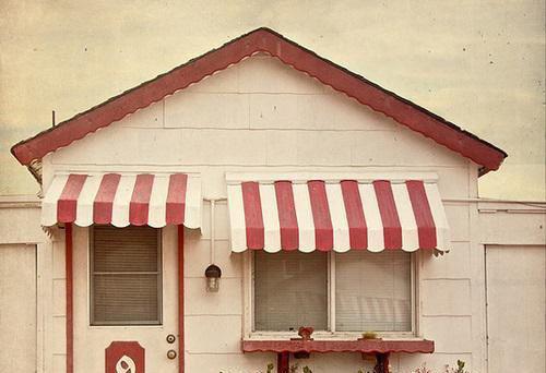 穿越后,系统只给儿童读物怎么破?最新小说(宋知有张倾词)全文阅读