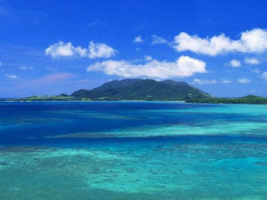 苗苗小说 我家面馆的规矩：后续小说