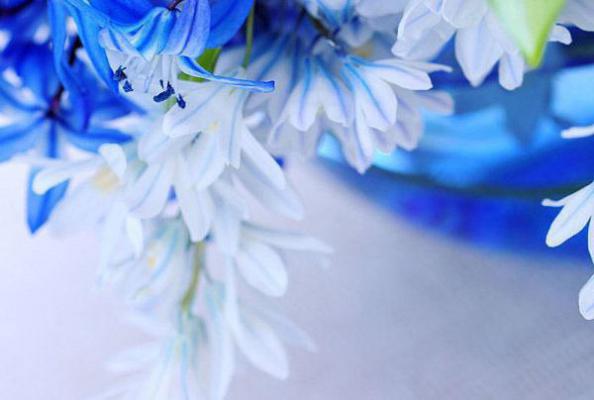 林纾容免费阅读 戈壁追夫？不，是讨离婚证！免费阅读林纾容小说