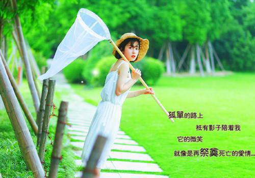 周崇沈淑仪苏俊泽笔趣阁 芽桂男主周崇沈淑仪苏俊泽小说