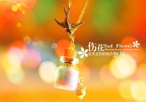 江挽星贺期礼:后续最新小说出炉(贺期礼江挽星)全文阅读