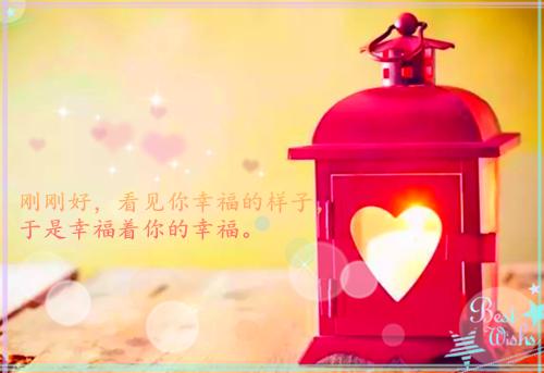 江虞沈御景林楚楚笔趣阁 爱至凛冬花开最新章节更新