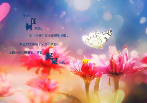 等不到的天价婚礼完本小说_等不到的天价婚礼宋辞洛晚宁无弹窗小说免费阅读