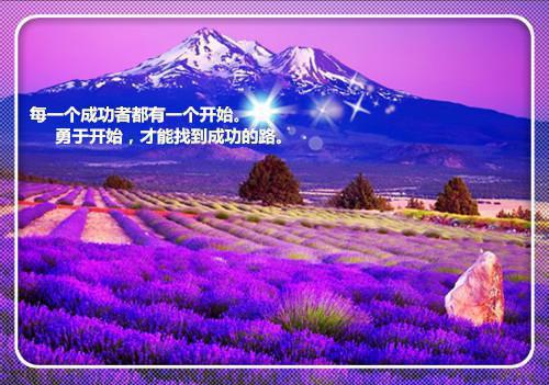 陈千雪谢书言何迁最新章节内容 到嘴的鸭子飞掉了免费阅读小说